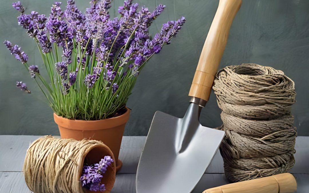 10 gardening tips ready for springtime