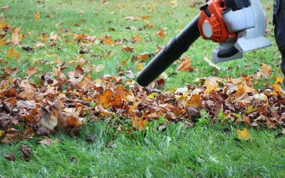 “Preparing Your Garden for Winter in Stoke-on-Trent”