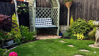 back garden with plants